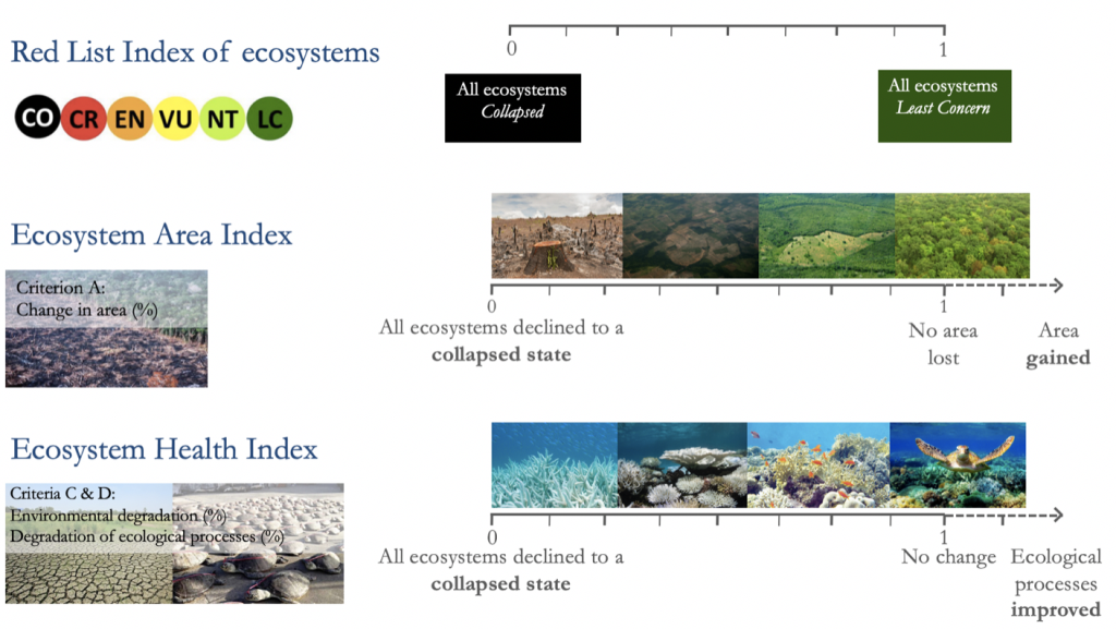 Ecosystem Ranks New paper: Ecosystem indices to support global biodiversity ...